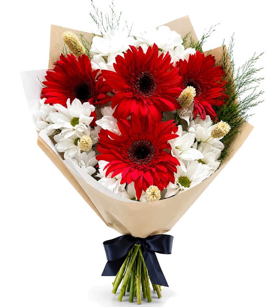red white daisy