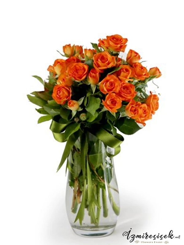 Orange roses